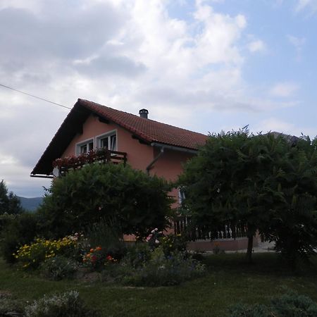 Guesthouse Blazenka Hodak Seliste Dreznicko Bagian luar foto