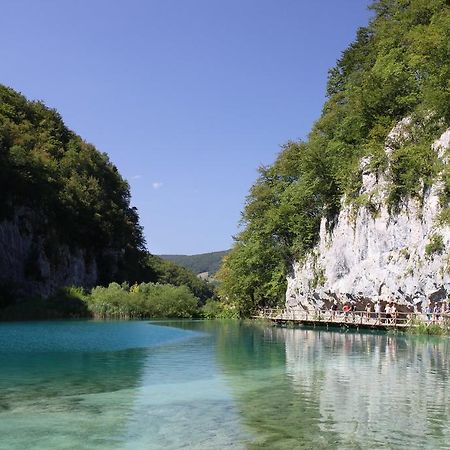 Guesthouse Blazenka Hodak Seliste Dreznicko Bagian luar foto