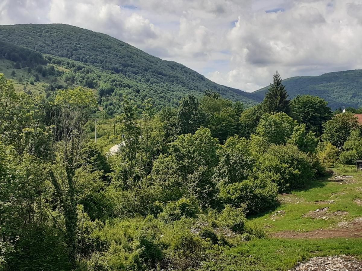 Guesthouse Blazenka Hodak Seliste Dreznicko Bagian luar foto