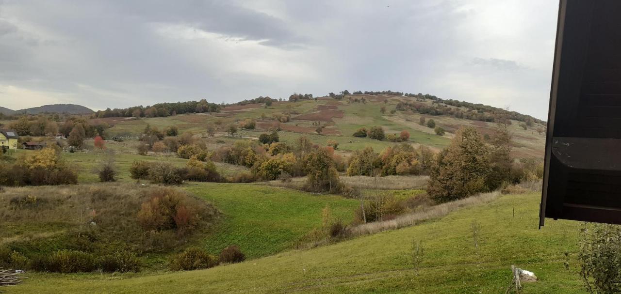 Guesthouse Blazenka Hodak Seliste Dreznicko Bagian luar foto