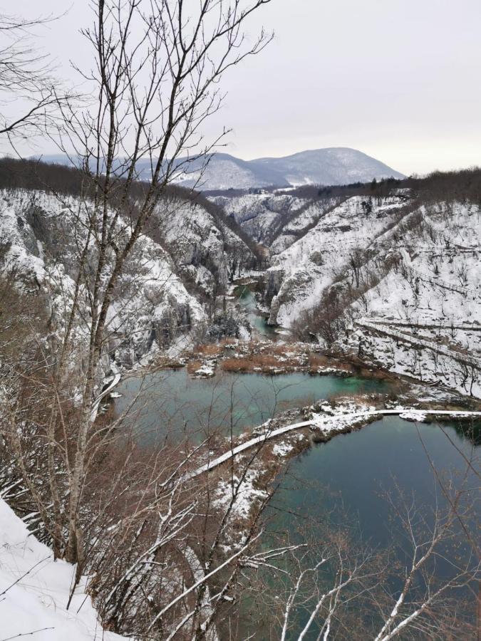 Guesthouse Blazenka Hodak Seliste Dreznicko Bagian luar foto