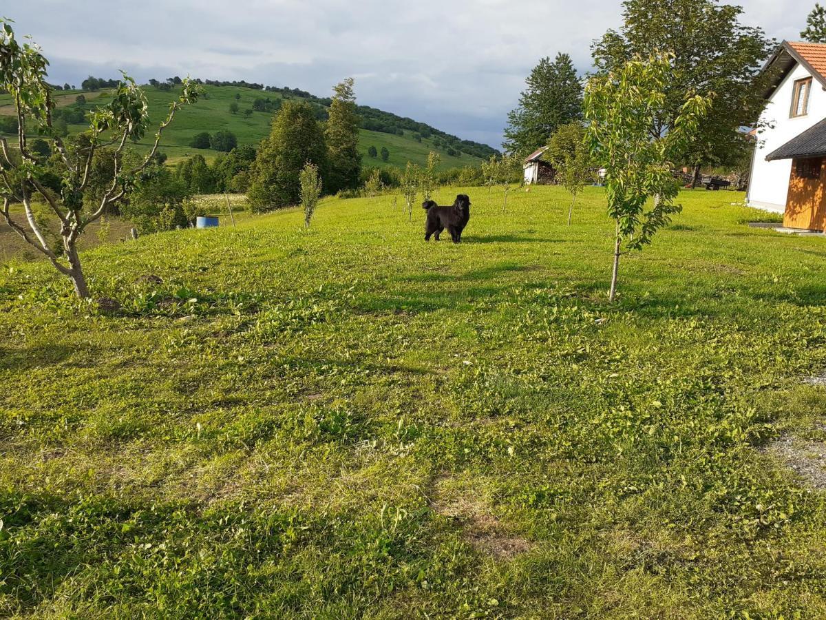 Guesthouse Blazenka Hodak Seliste Dreznicko Bagian luar foto