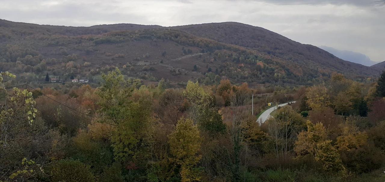 Guesthouse Blazenka Hodak Seliste Dreznicko Bagian luar foto