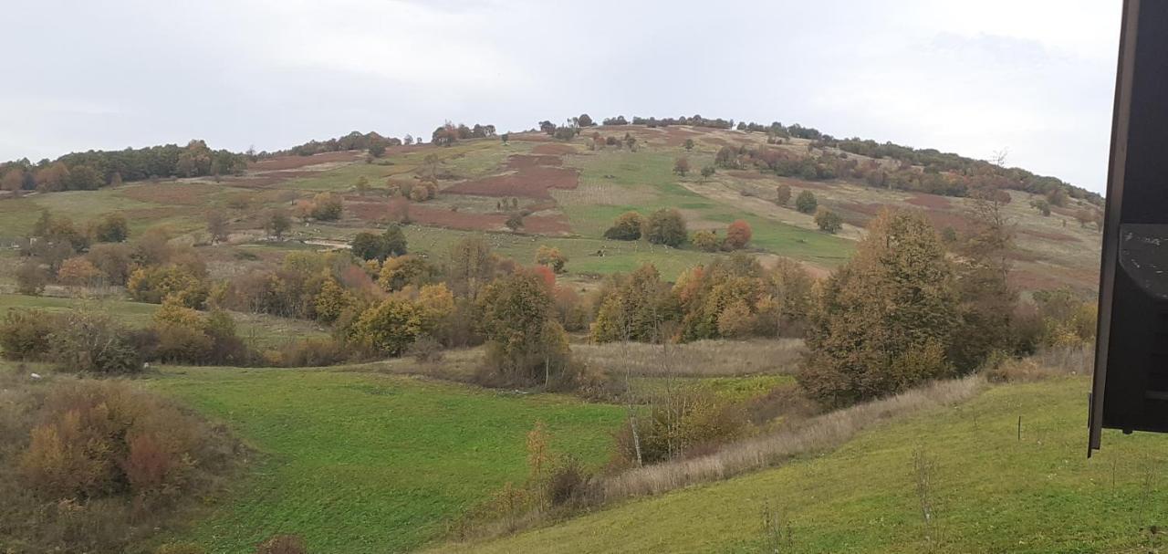 Guesthouse Blazenka Hodak Seliste Dreznicko Bagian luar foto