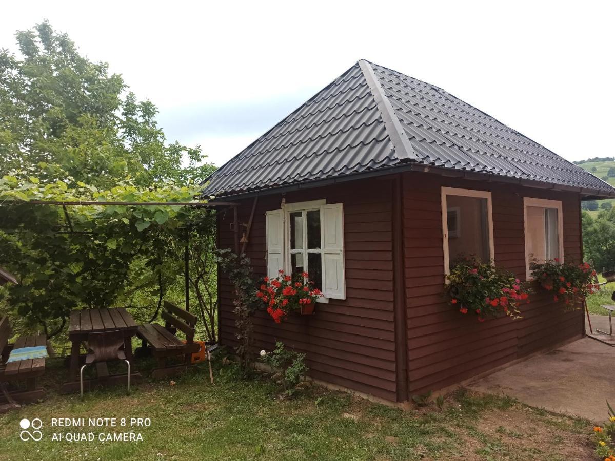 Guesthouse Blazenka Hodak Seliste Dreznicko Bagian luar foto