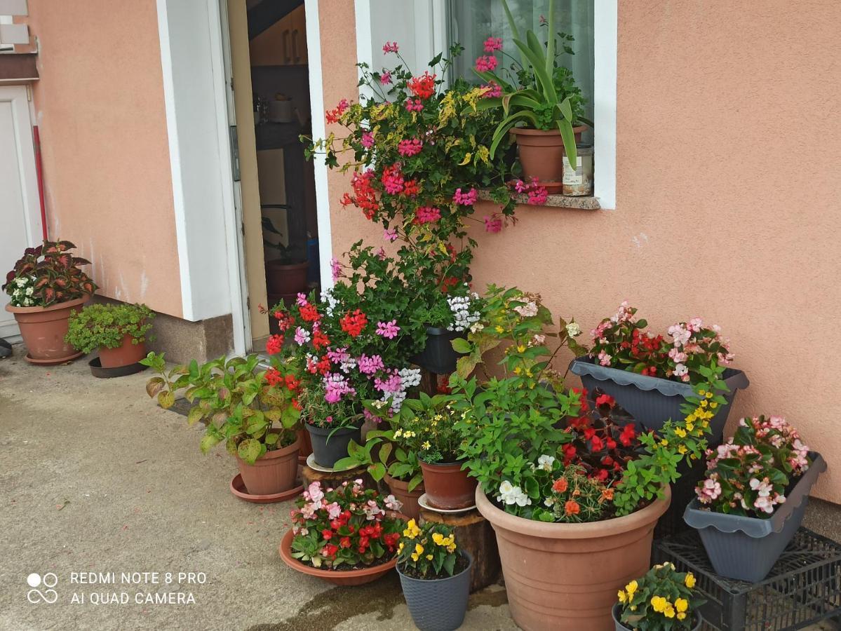 Guesthouse Blazenka Hodak Seliste Dreznicko Bagian luar foto