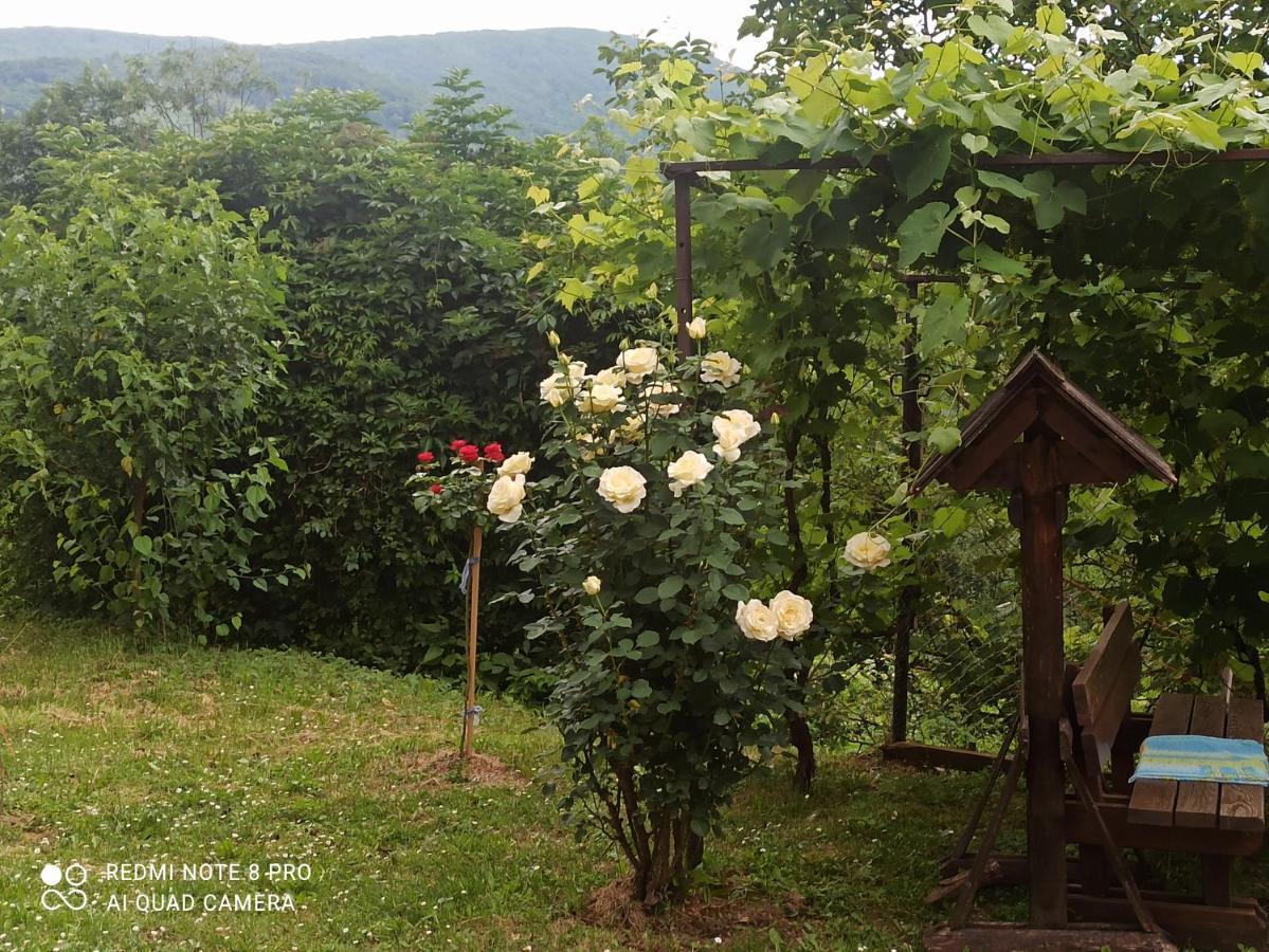 Guesthouse Blazenka Hodak Seliste Dreznicko Bagian luar foto