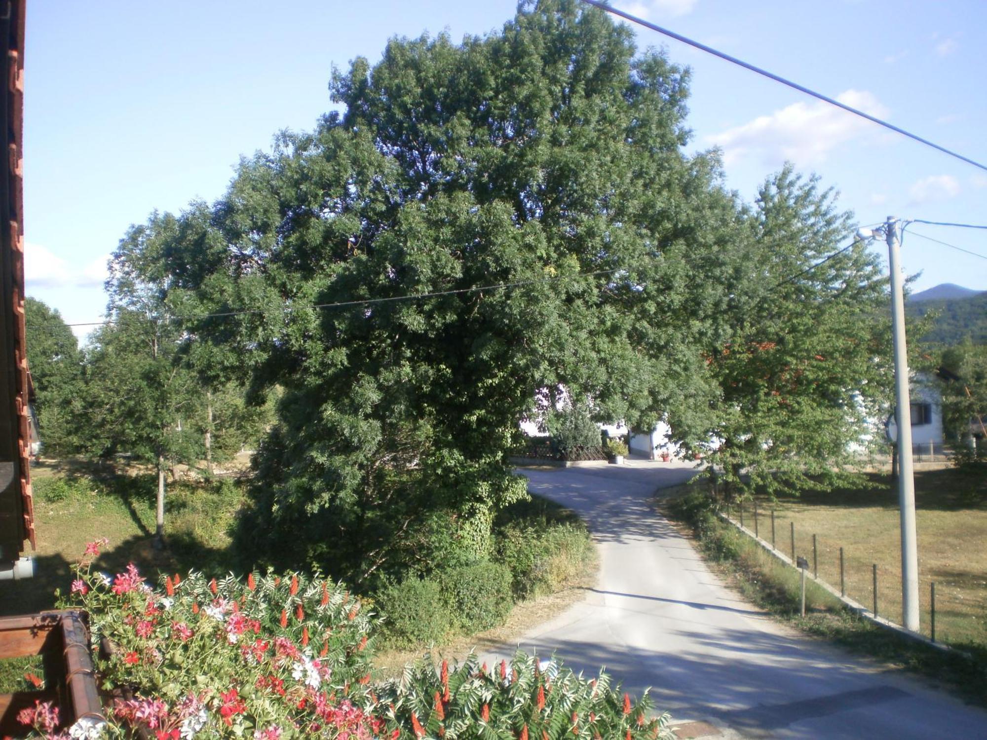 Guesthouse Blazenka Hodak Seliste Dreznicko Bagian luar foto