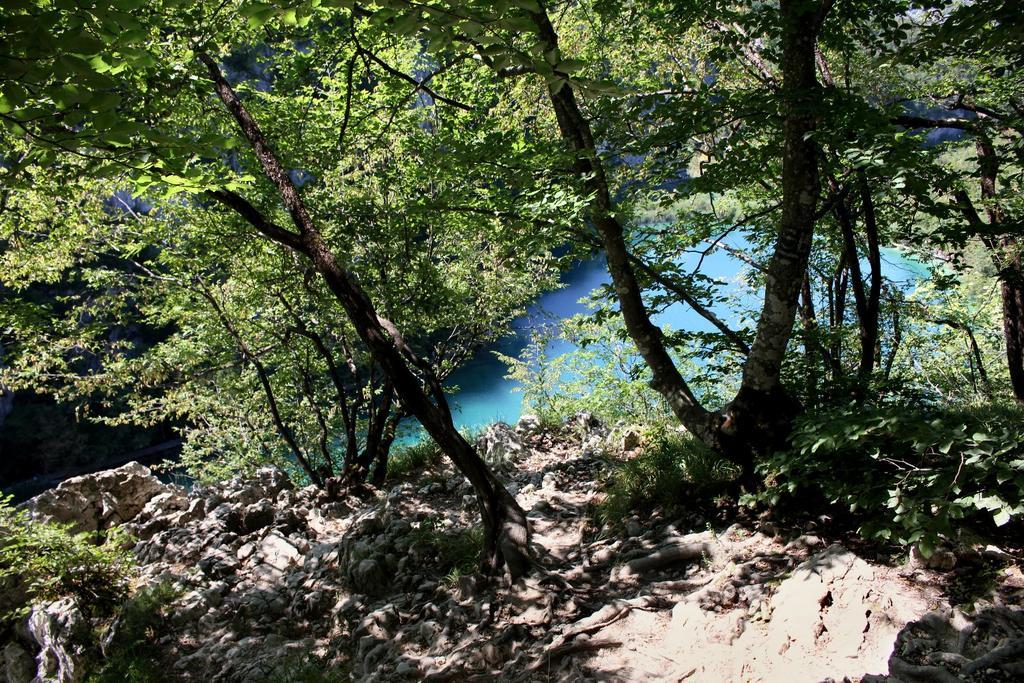 Guesthouse Blazenka Hodak Seliste Dreznicko Bagian luar foto