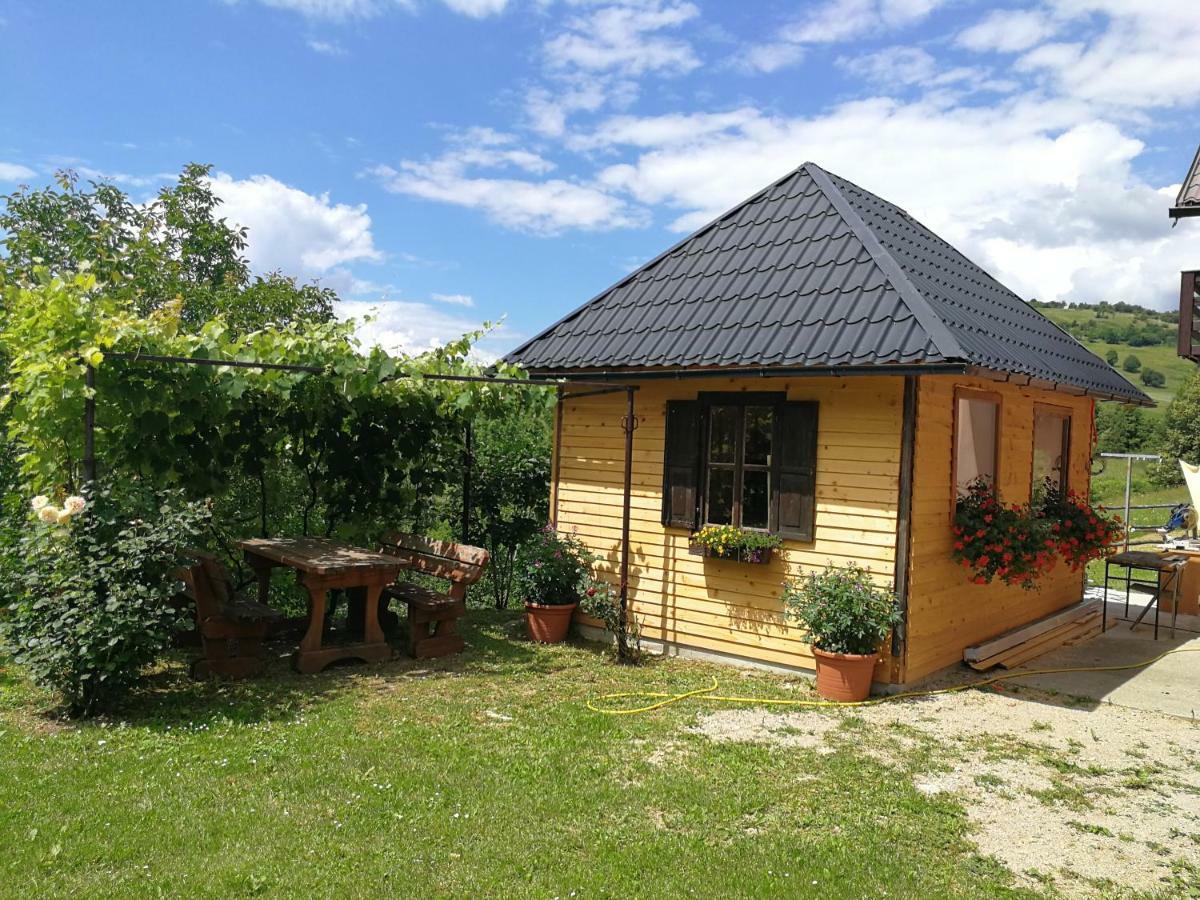 Guesthouse Blazenka Hodak Seliste Dreznicko Bagian luar foto