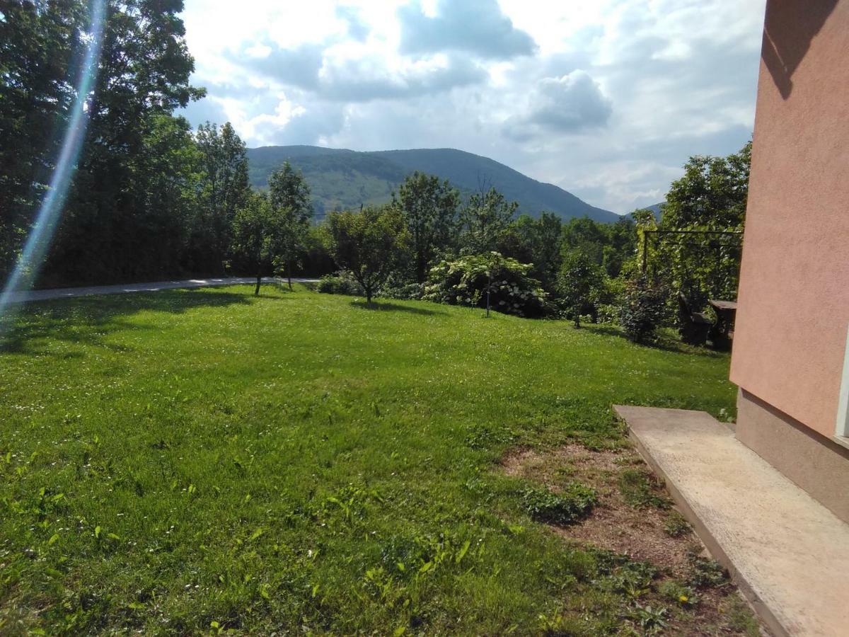Guesthouse Blazenka Hodak Seliste Dreznicko Bagian luar foto