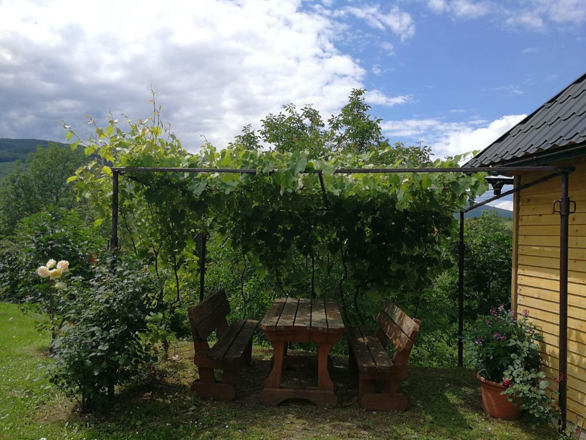 Guesthouse Blazenka Hodak Seliste Dreznicko Bagian luar foto