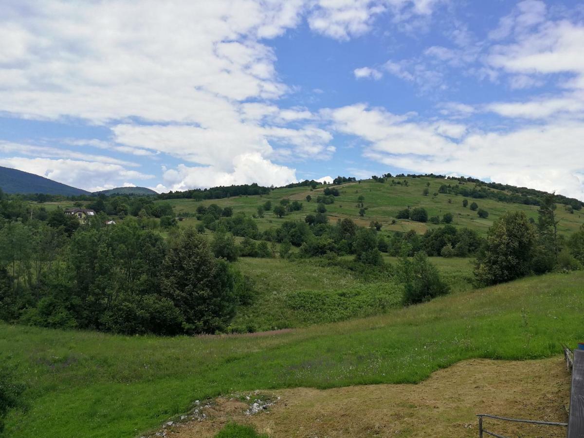 Guesthouse Blazenka Hodak Seliste Dreznicko Bagian luar foto