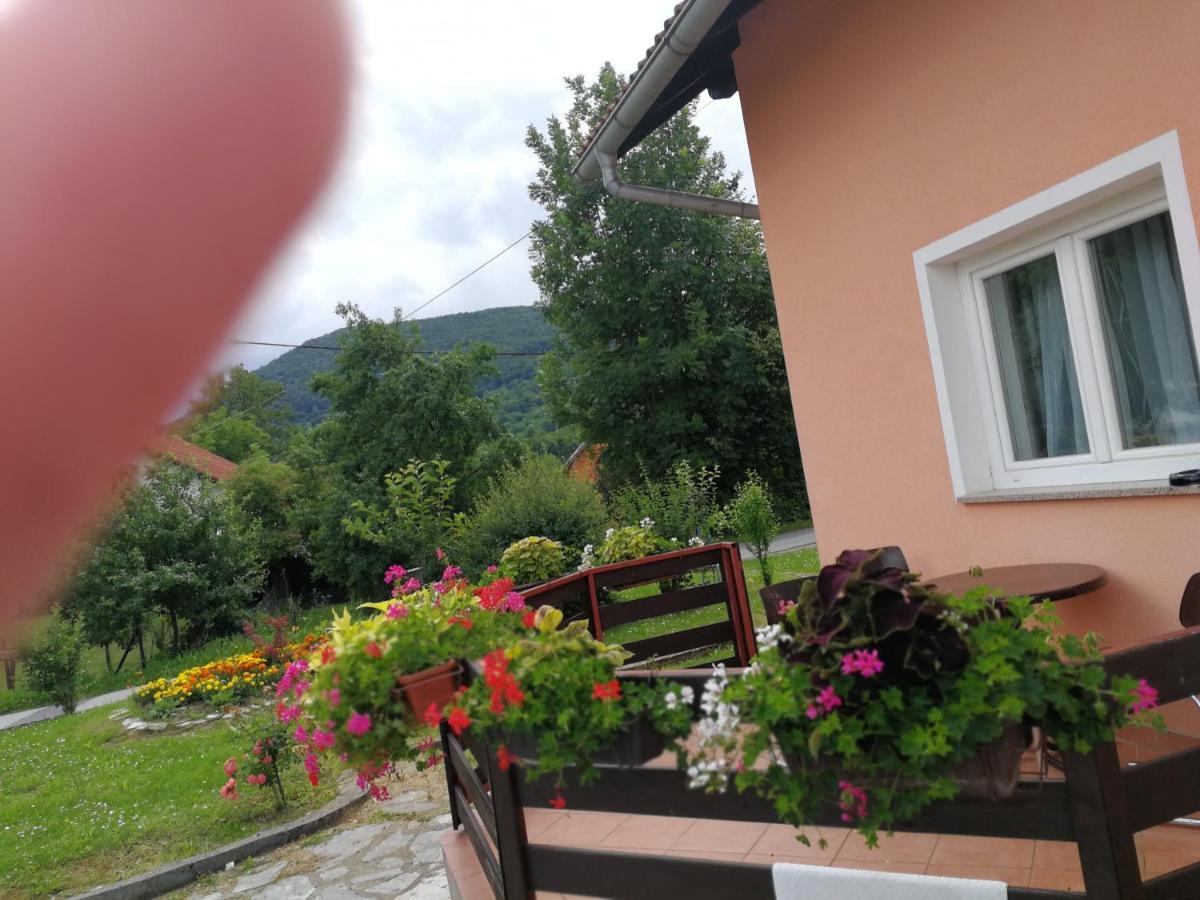 Guesthouse Blazenka Hodak Seliste Dreznicko Bagian luar foto